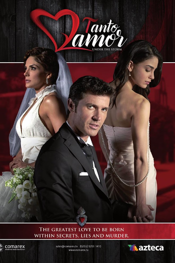 Poster de TV Tanto Amor (2015)