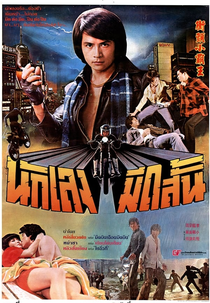 Golden Fists of a Duo (Xian hei an tiao zhan)