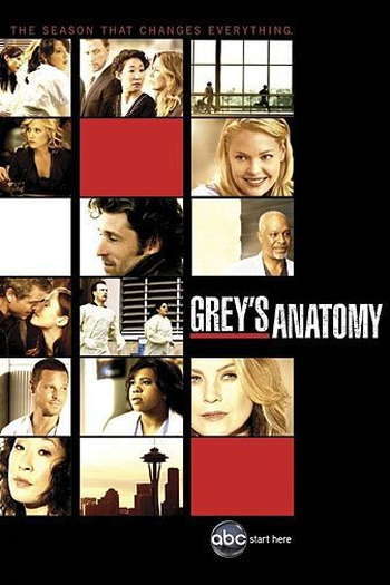  de Série A Anatomia de Grey (6ª Temporada) (2009)
