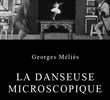 La Danseuse Microscopique