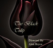 A Tulipa Negra