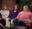 Meet Kody & the Wives