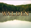 Walden ou A Vida nos Bosques