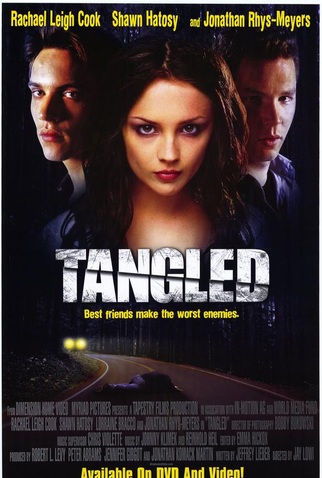 Poster 2 de Filme A Traição (2001)