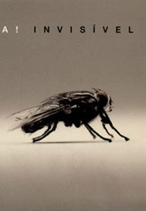 Invisível D.J  - IRA! (Invisível D.J  - IRA!)