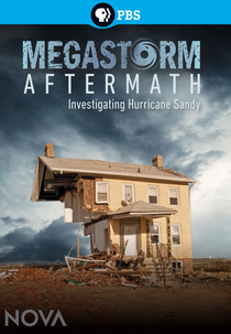 Megastorm Aftermath (Megastorm Aftermath)