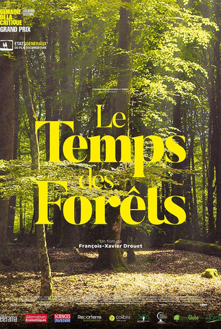 Poster 1 de Filme O Tempo das Florestas (2018)