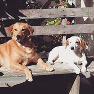 Foto de perfil de Karoline