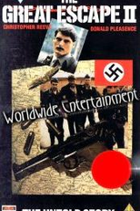 Fugindo do Inferno 2 (The Great Escape II: The Untold Story)