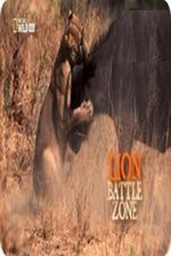 Guerra de Leões (Grandes Felinos – Guerra de Leões (NatGeo Wild))