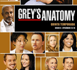 A Anatomia de Grey (5ª Temporada)