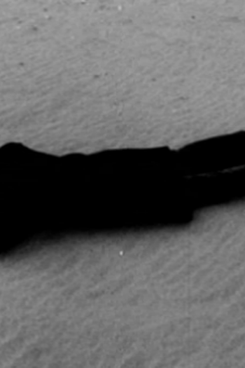  de Curta Feelings (1984)