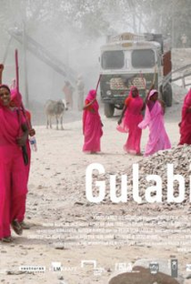 Gulabi Gang - Poster / Capa / Cartaz - Oficial 2