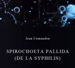 Spirochoeta pallida (de la syphilis)