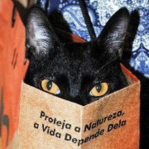 Foto de perfil de Clarissa Viçosa
