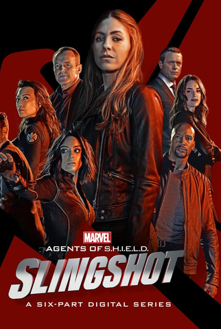 Poster 1 de Série Agentes da S.H.I.E.L.D. - Ioiô (2016)