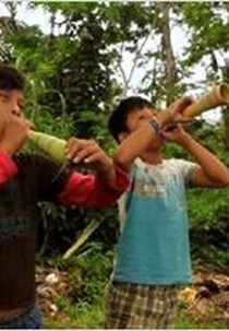 Índios Zoró - Antes, Agora e Depois? (Índios Zoró - Antes, Agora e Depois?)