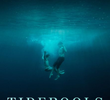 Tidepools