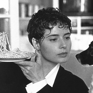 Foto de perfil de Thauane