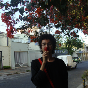 Foto de perfil de Yuri Araújo