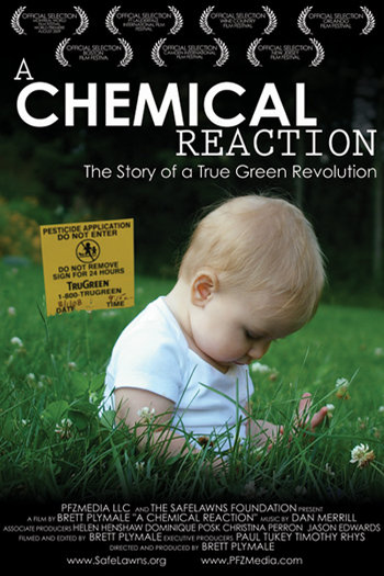 Poster de Filme A Chemical Reaction (2009)