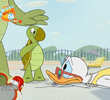 Donald's Pool