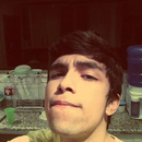Foto de perfil de Vitor
