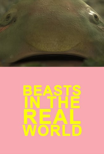 Beasts in the Real World - Poster / Capa / Cartaz - Oficial 1