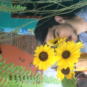 Foto de perfil de Willian Ferzan
