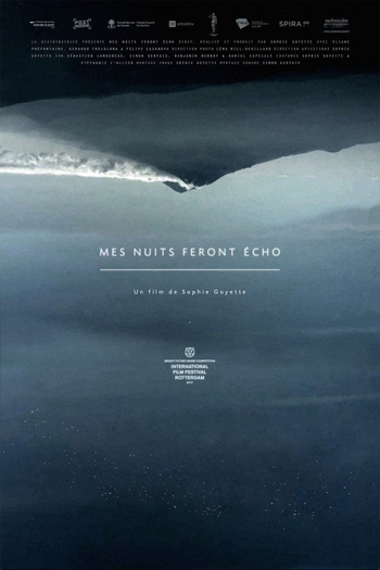 Poster de Filme Still Night, Still Light (2016)