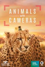 Câmera Animal (Animals with Cameras)