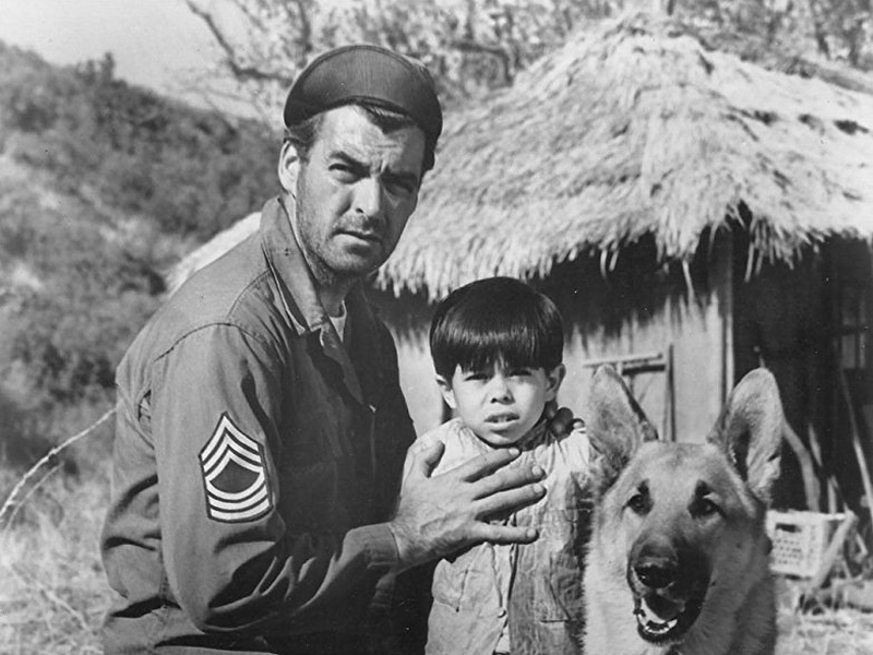 Foto 1 de Brincando de guerra