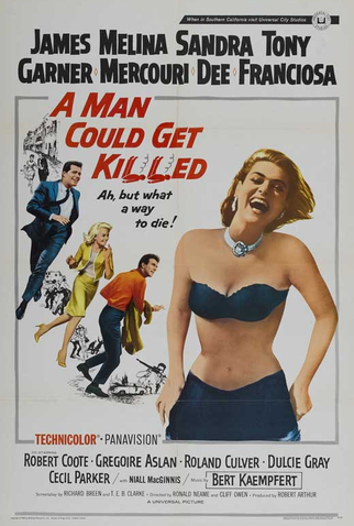 Poster 1 de Filme Passaporte para o Perigo (1966)