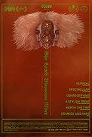 Poster 1 de Filme She Loved Blossoms More (2024)