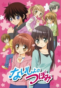 Naisho no Tsubomi OVA (ないしょのつぼみ OVA)
