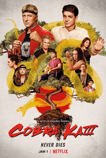 Cobra Kai (3ª Temporada) - Poster / Capa / Cartaz - Oficial 1