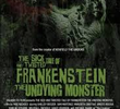 The Sick and Twisted Tale of Frankenstein