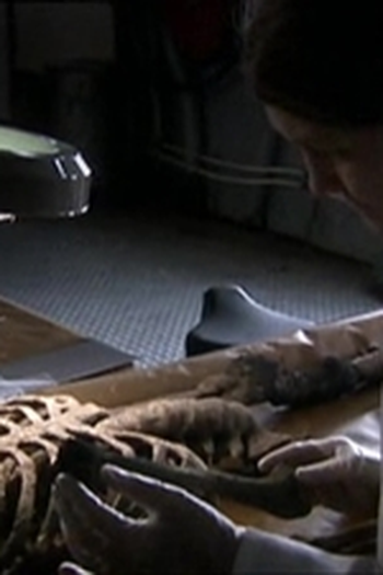 Poster de Episódio Avsnitt 3 (2004)