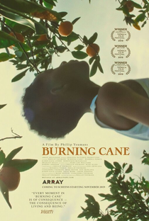 Burning Cane - Poster / Capa / Cartaz - Oficial 1