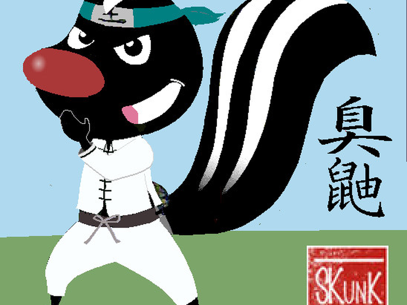 Foto 1 de Gambá Kung Fu