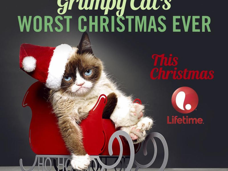 Foto 1 de Grumpy Cat's Worst Christmas Ever