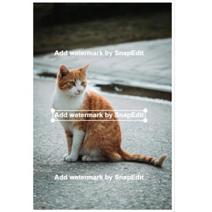 Foto de perfil de Chèn logo vào ảnh - SnapEdit