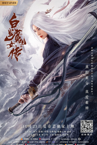 Poster 1 de Filme The Wolf Witch (2020)