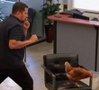 Chick Magnet