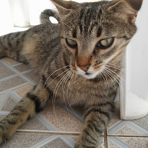 Foto de perfil de mari ccm