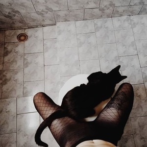 Foto de perfil de Laura