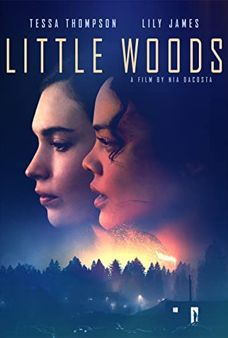 Poster 3 de Filme Passando dos Limites (2018)