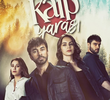 Kalp Yarasi
