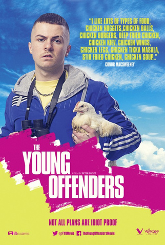 Poster 3 de Filme The Young Offenders (2016)