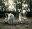 Chernobyl Disaster